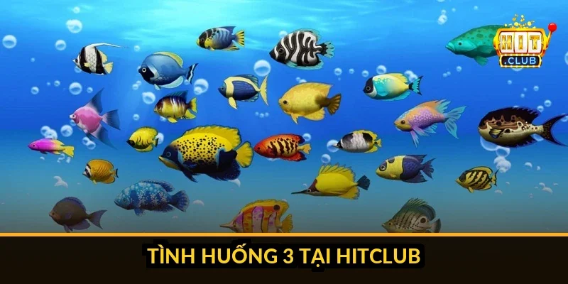 Ba tình huống tối ưu cho kỹ thuật băng bi Hitclub