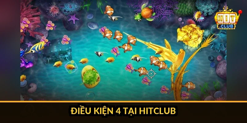 Checklist 4 điều kiện trước khi chuyển lên sảnh cao Hitclub