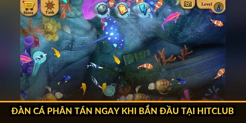 Ba dạng đàn cá phổ biến và chiến thuật xử lý Hitclub