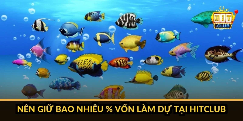 Bảng hỏi đáp về chọn sảnh bắn cá phù hợp Hitclub